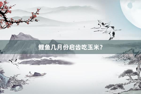 鲤鱼几月份启齿吃玉米？